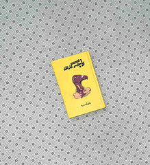 raja gidh by bano qudsia