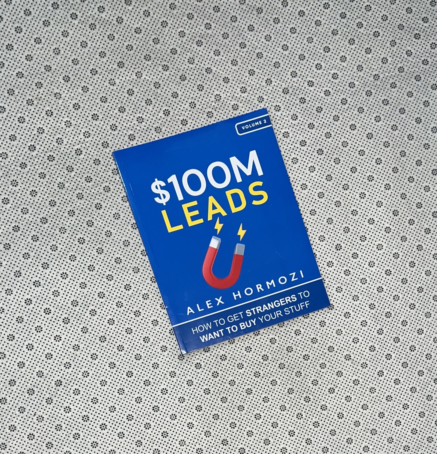 $100M LEADS: How To Get Strangers To Want To Buy Your Stuff by Alex Hormozi