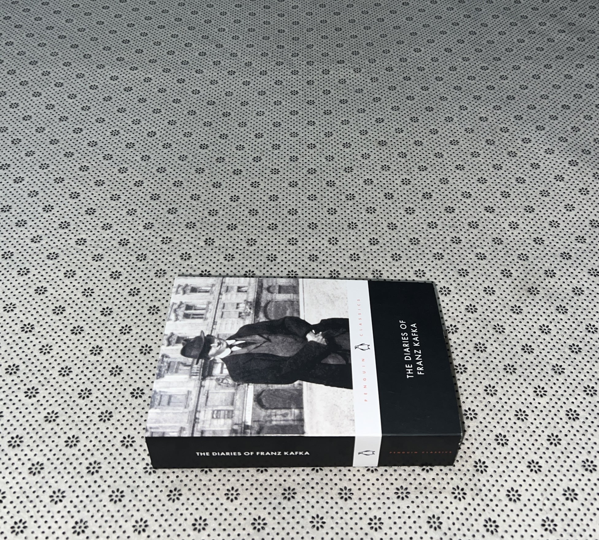 THE DIARIES OF FRANZ KAFKA by Franz Kafka