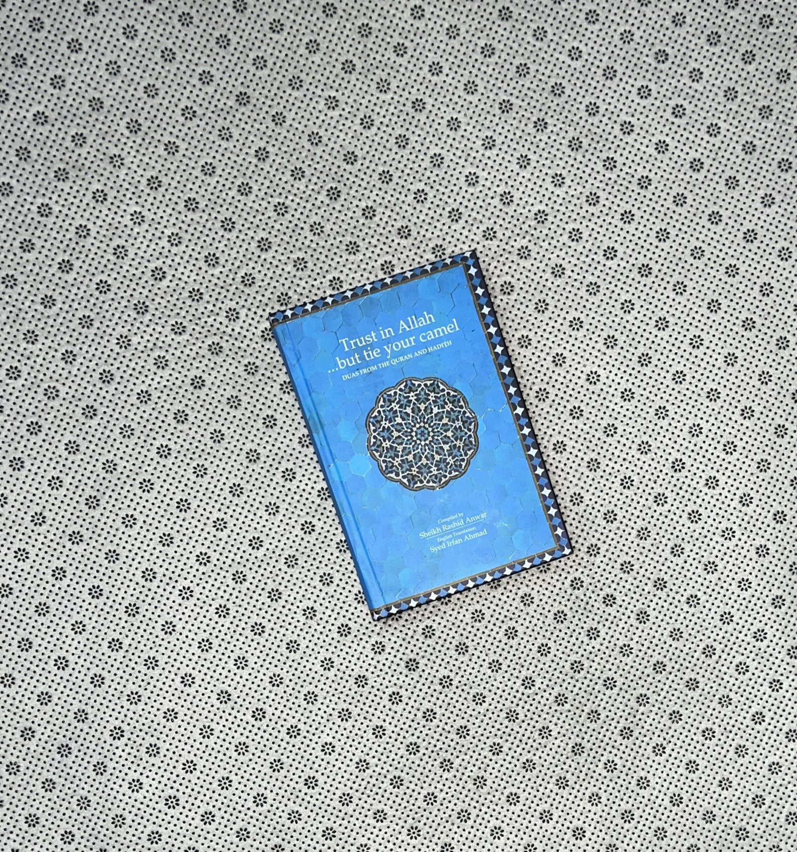 trust in allah but tie your camel by sheikh rashid anwar