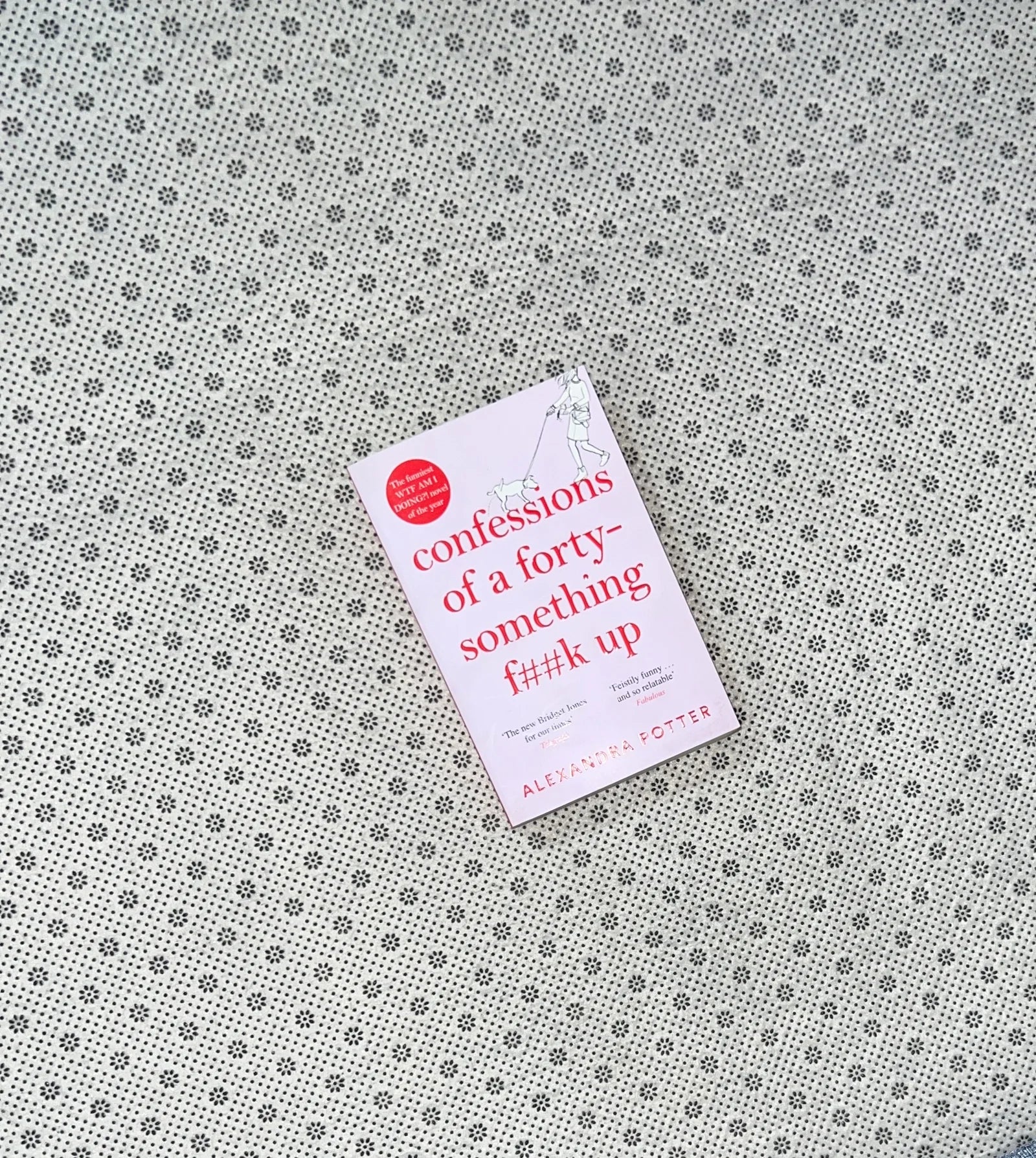 confessions of a forty something f k up by alexandra potter