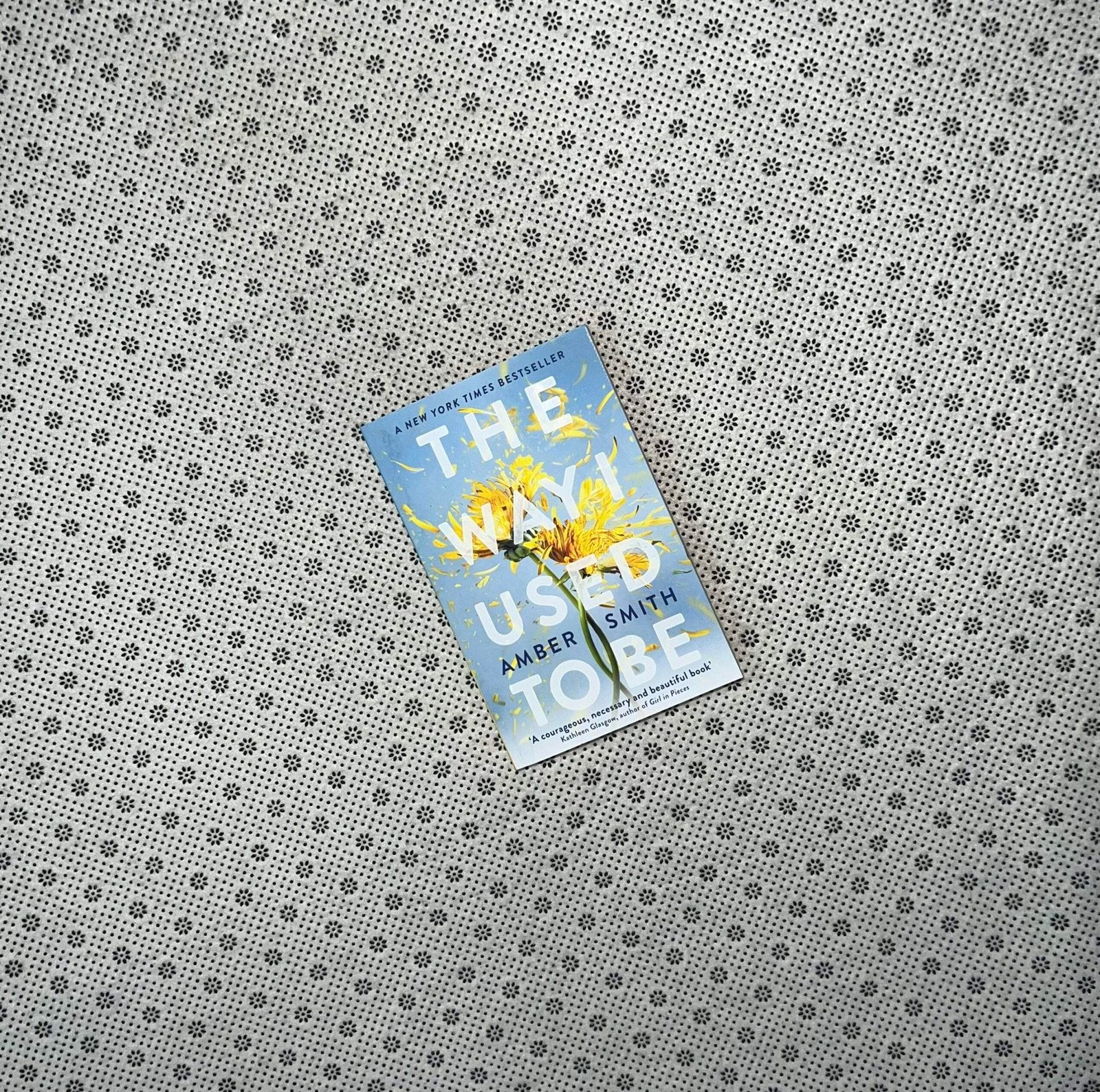 the way i used to be by amber smith