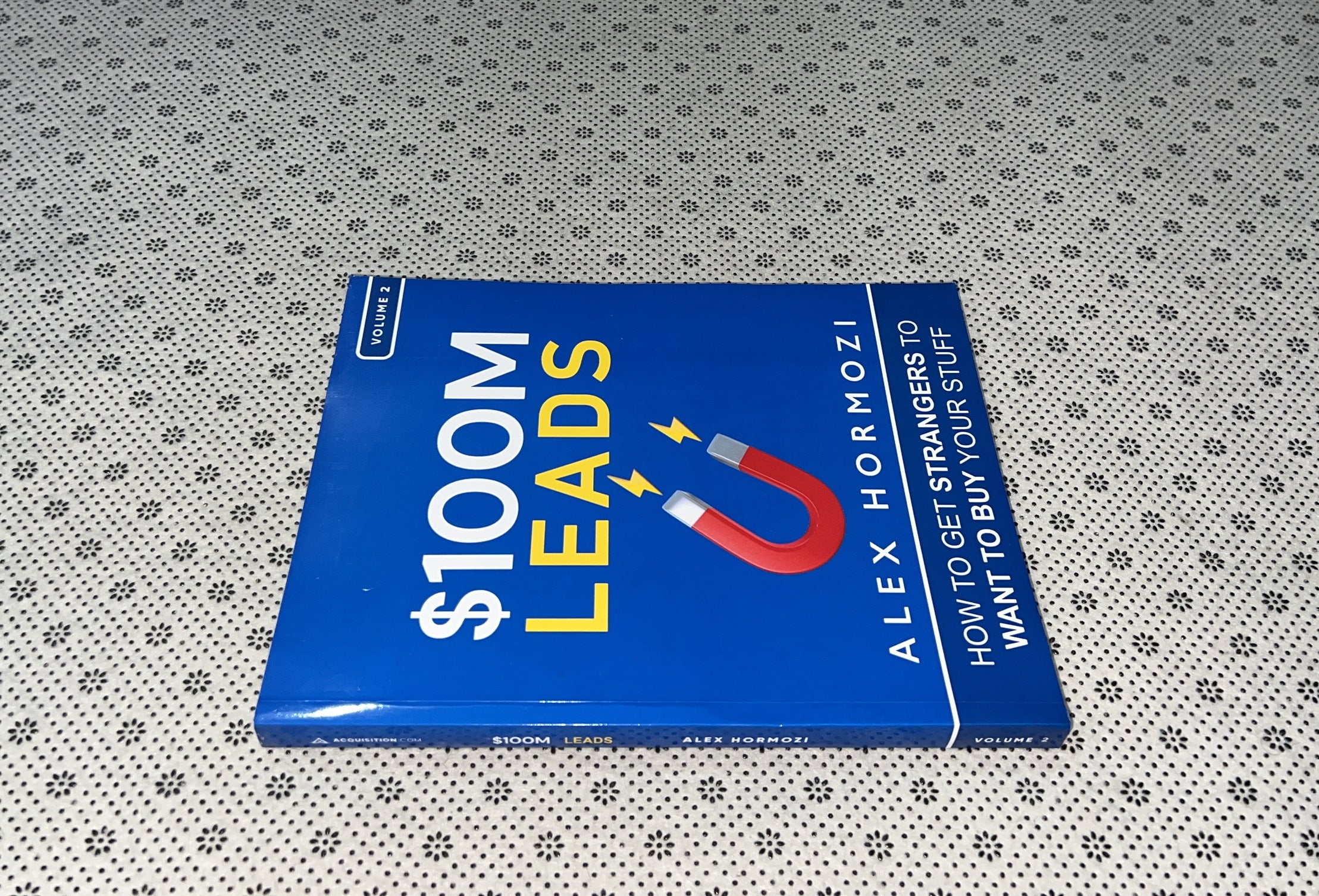 $100M LEADS: How To Get Strangers To Want To Buy Your Stuff by Alex Hormozi