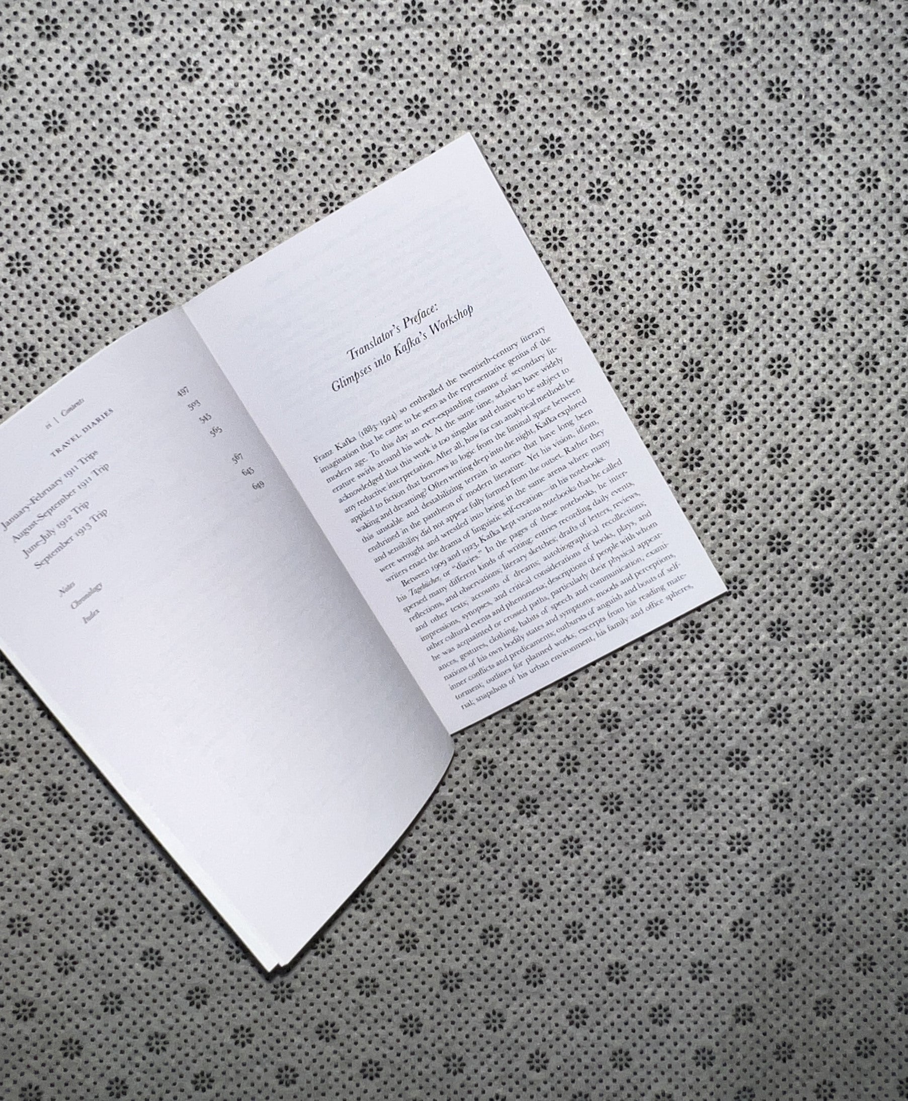 THE DIARIES OF FRANZ KAFKA by Franz Kafka