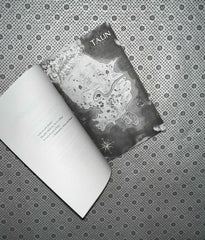 vilest things flesh and false gods series book 2 by chloe gong