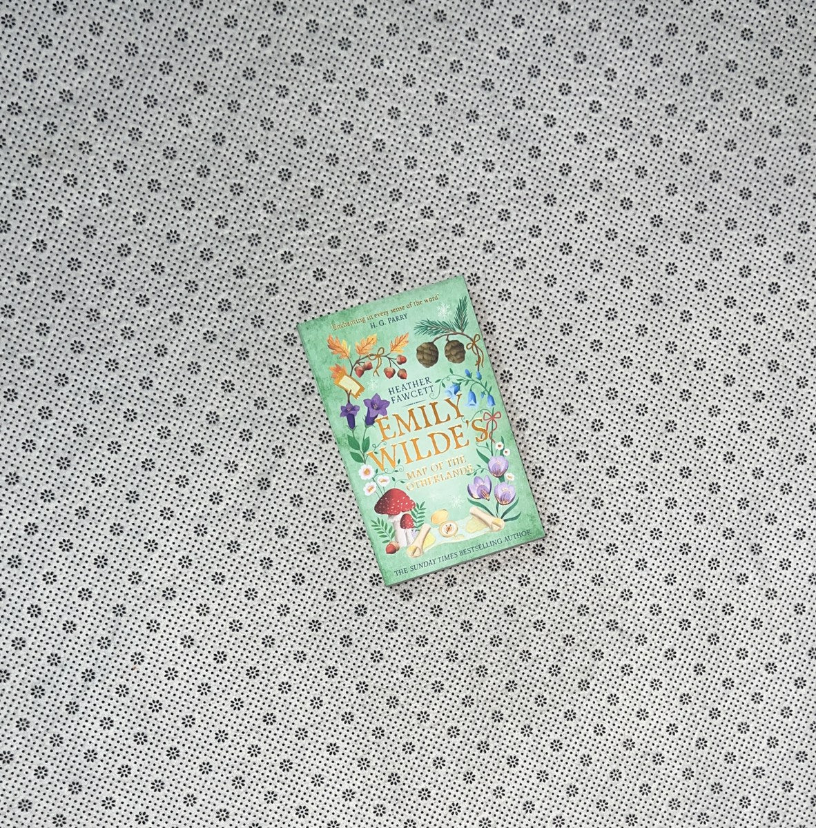 EMILY WILDE’S MAP OF THE OTHERLANDS by Heather Fawcett