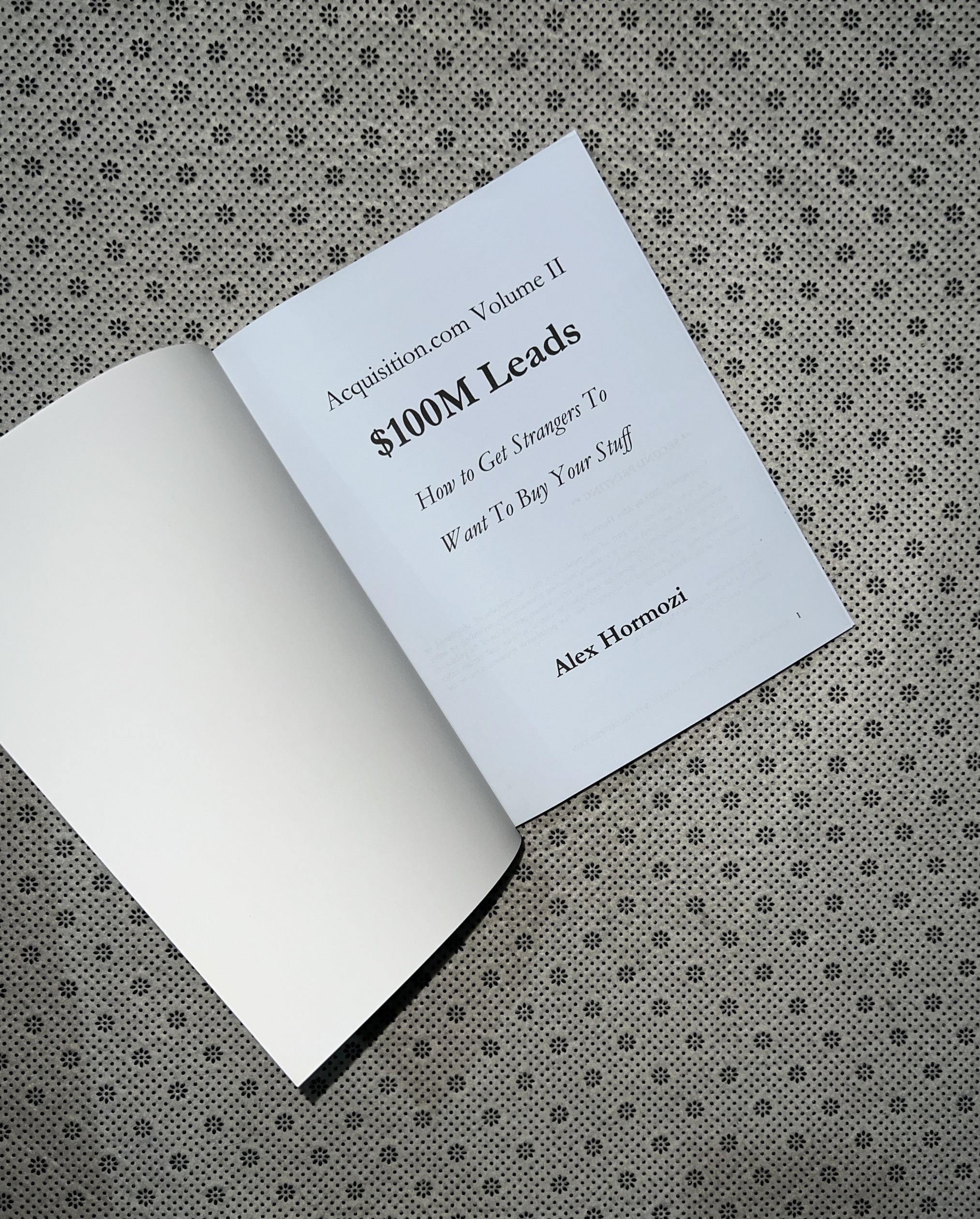 $100M LEADS: How To Get Strangers To Want To Buy Your Stuff by Alex Hormozi