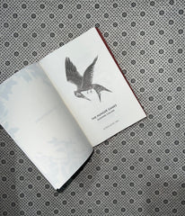 the hunger games the hunger games series book 1 the deluxe edition a stunningly designed with patterned edge by suzanne collins