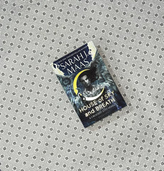 house of sky and breath crescent city series book 2 by sarah j maas 1