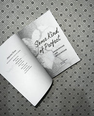 some kind of perfect addicted series book 10 by krista ritchie