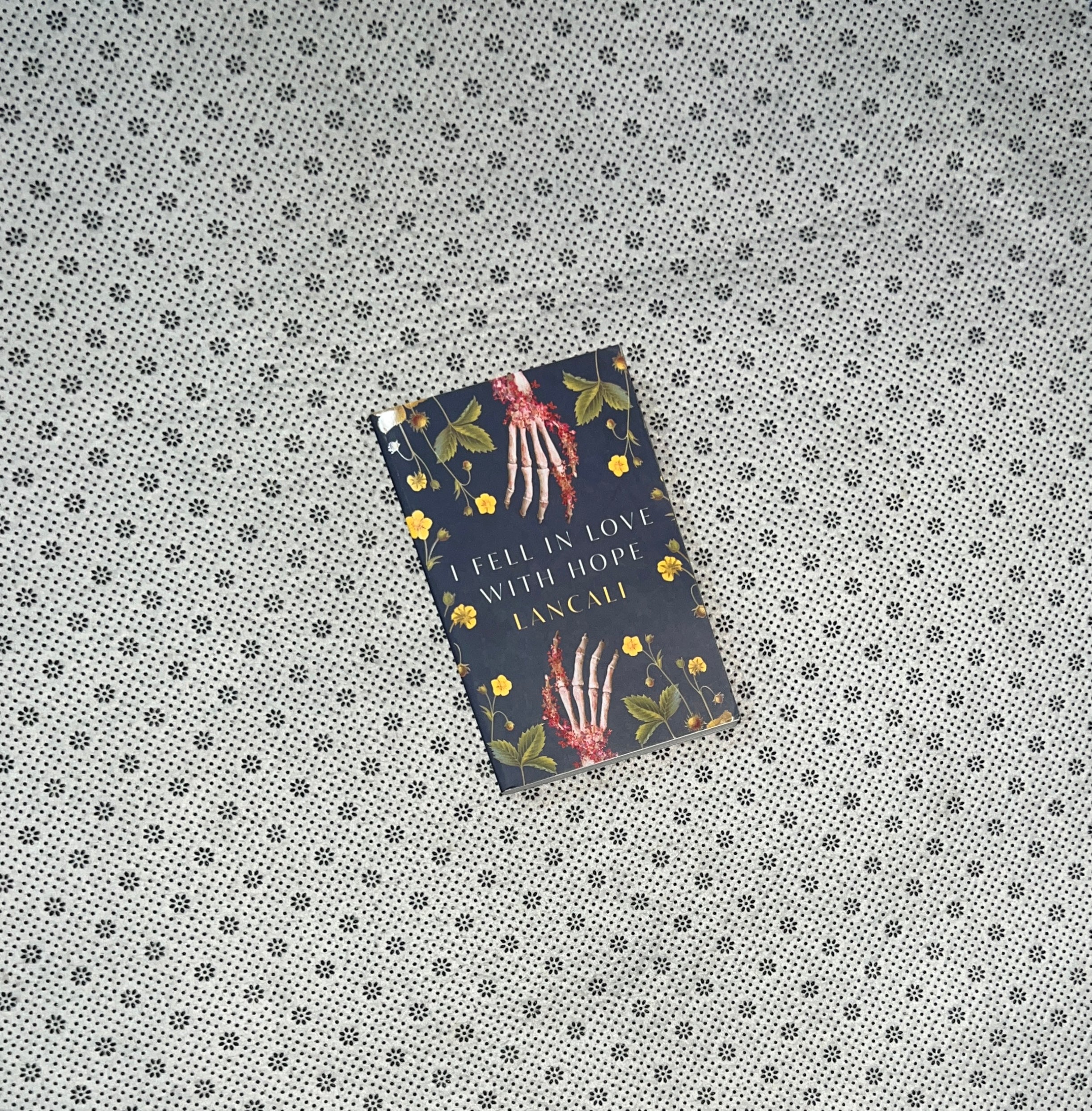 I FELL IN LOVE WITH HOPE by Lancali