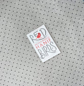 red birds by mohammed hanif