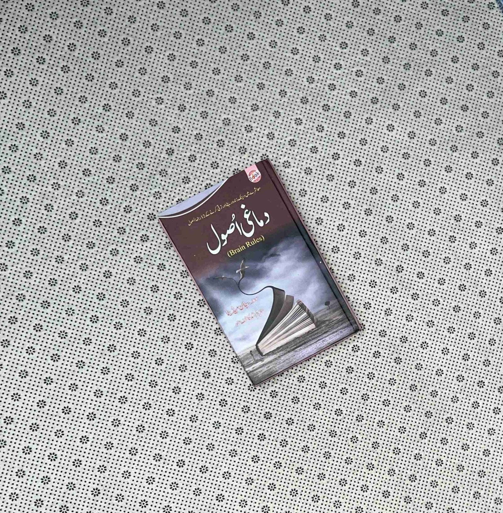 dimaghi asool brain rules urdu translation john medina