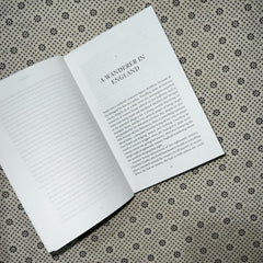 the impostress the dishonest adventures of sarah wilson by r j clarke