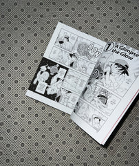 POKÉMON ADVENTURES Collector's Edition (Volume 1) by Hidenori Kusaka
