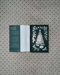 HOLLY: A Belladonna Novella by Adalyn Grace