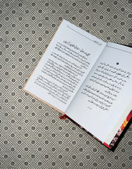 LENIN MUKHTASAR SAWANEH UMRI (Urdu Translation) by Vladimir Lenin