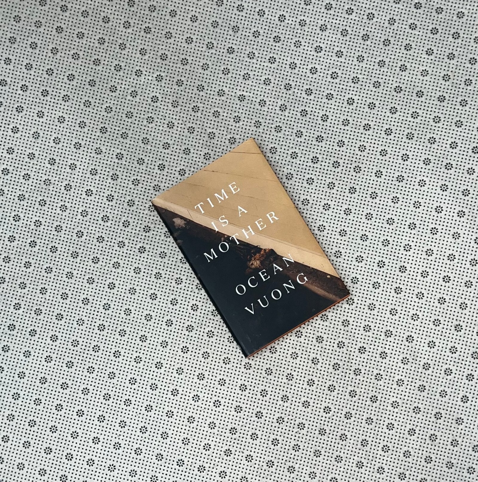 time is a mother by ocean vuong