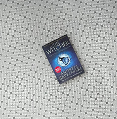 the tower of the swallow the witcher series book 4 by andrzej sapkowski