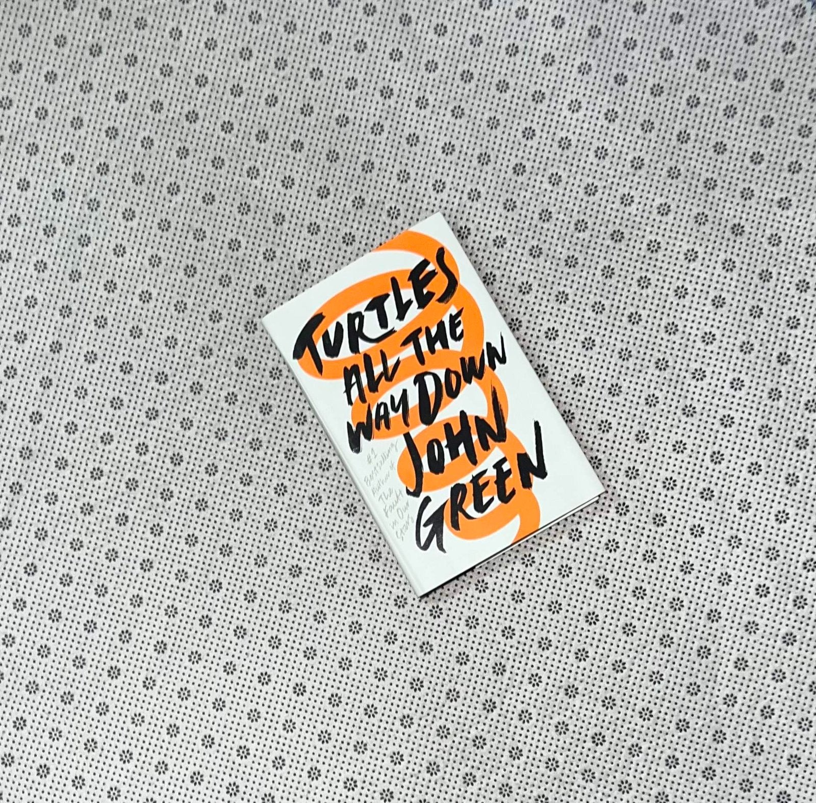 turtles all the way down by john green