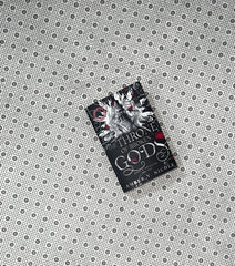 the throne of broken gods gods and monsters series book 2 by amber v nicole