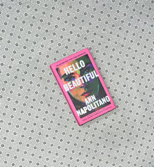 hello beautiful by ann napolitano