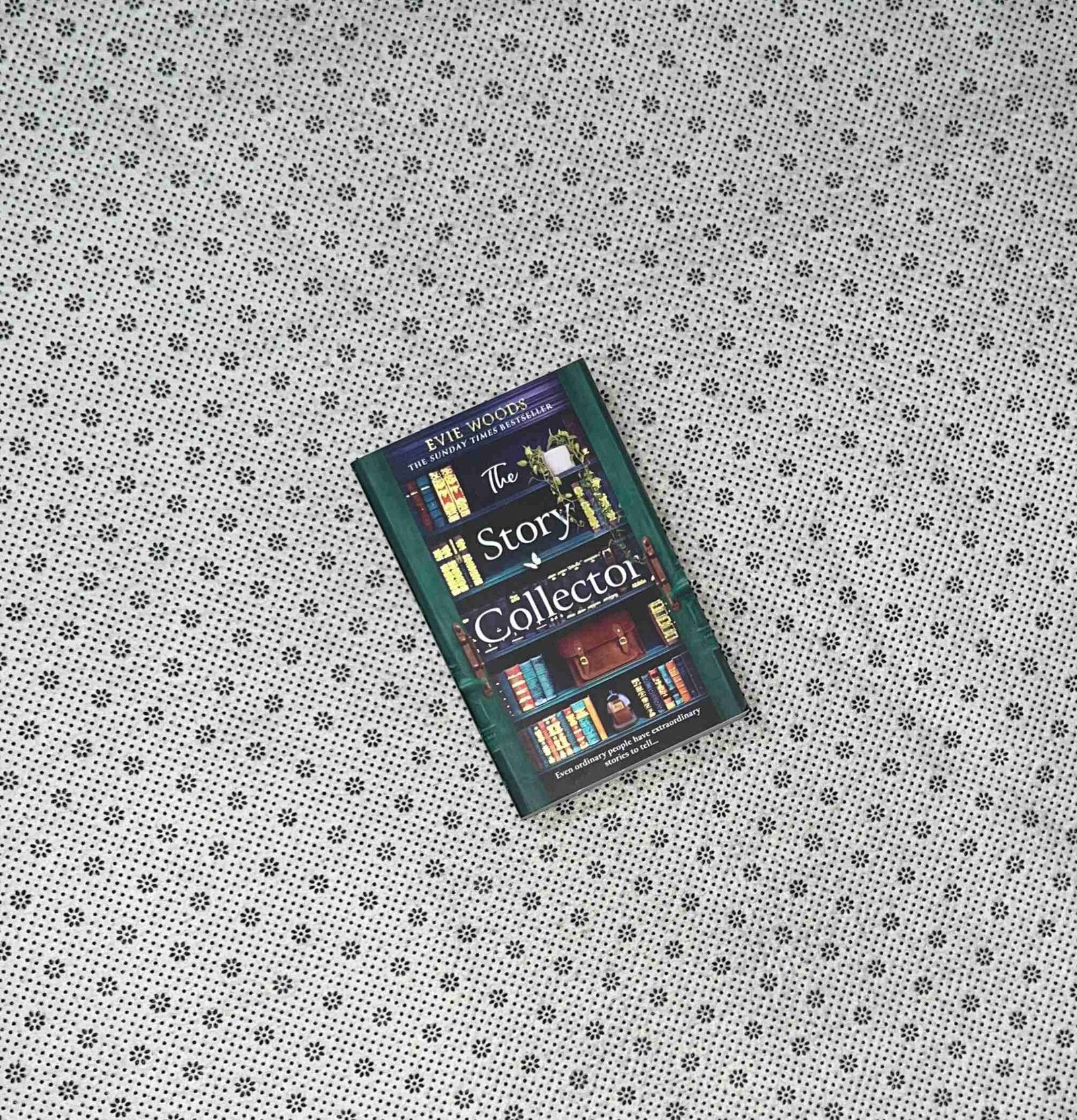 the story collector by evie woods