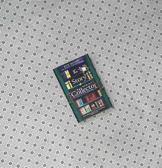 the story collector by evie woods