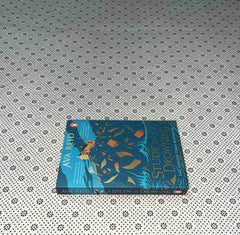 a study in drowning by ava reid 1