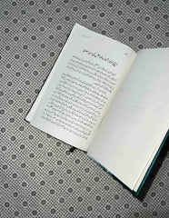 gumshuda yadashtain getting lost urdu translation by annie ernaux