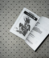 BERSERK (Volume 2) by Kentaro Miura