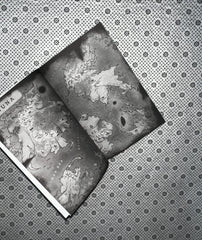 the throne of broken gods gods and monsters series book 2 by amber v nicole