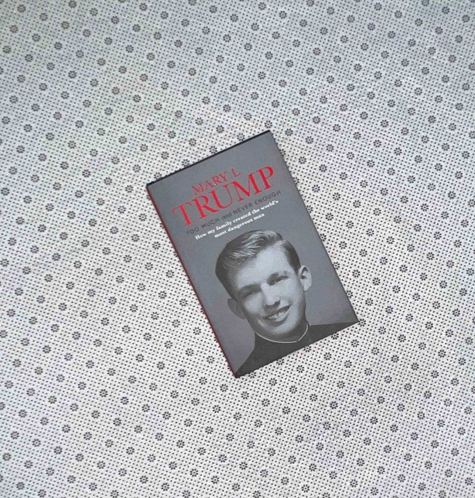 too much and never enough by mary l trump