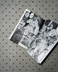 BERSERK (Volume 2) by Kentaro Miura