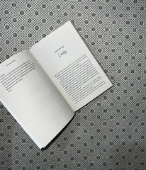 BEG, BORROW, OR STEAL: When In Rome series (Book 2) by Sarah Adams