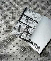 HAIKYU (Volume 1) by Haruichi Furudate