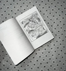 heart of the sun warrior the celestial kingdom duology series book 2 by sue lynn tan 1