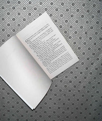 the guest by b a paris