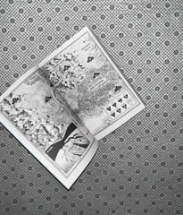 red rising the red rising series book 1 by pierce brown