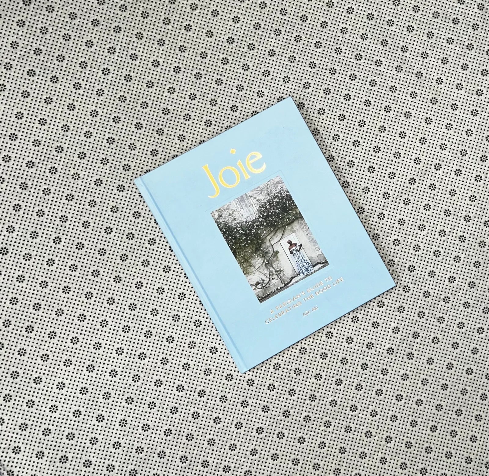 joie a parisians guide to celebrating the good life by ajiri aki