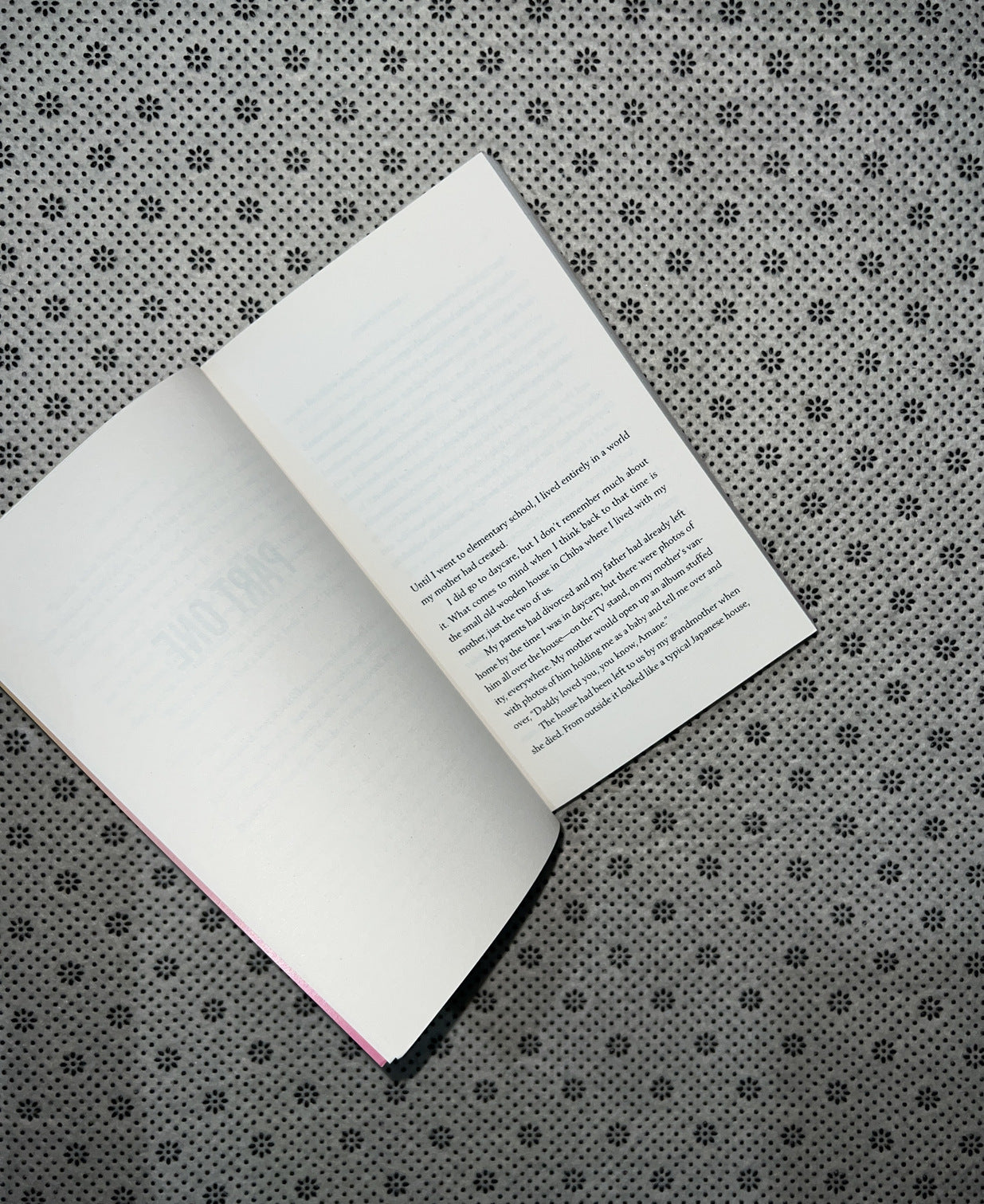 VANISHING WORLD: A Novel by Sayaka Murata