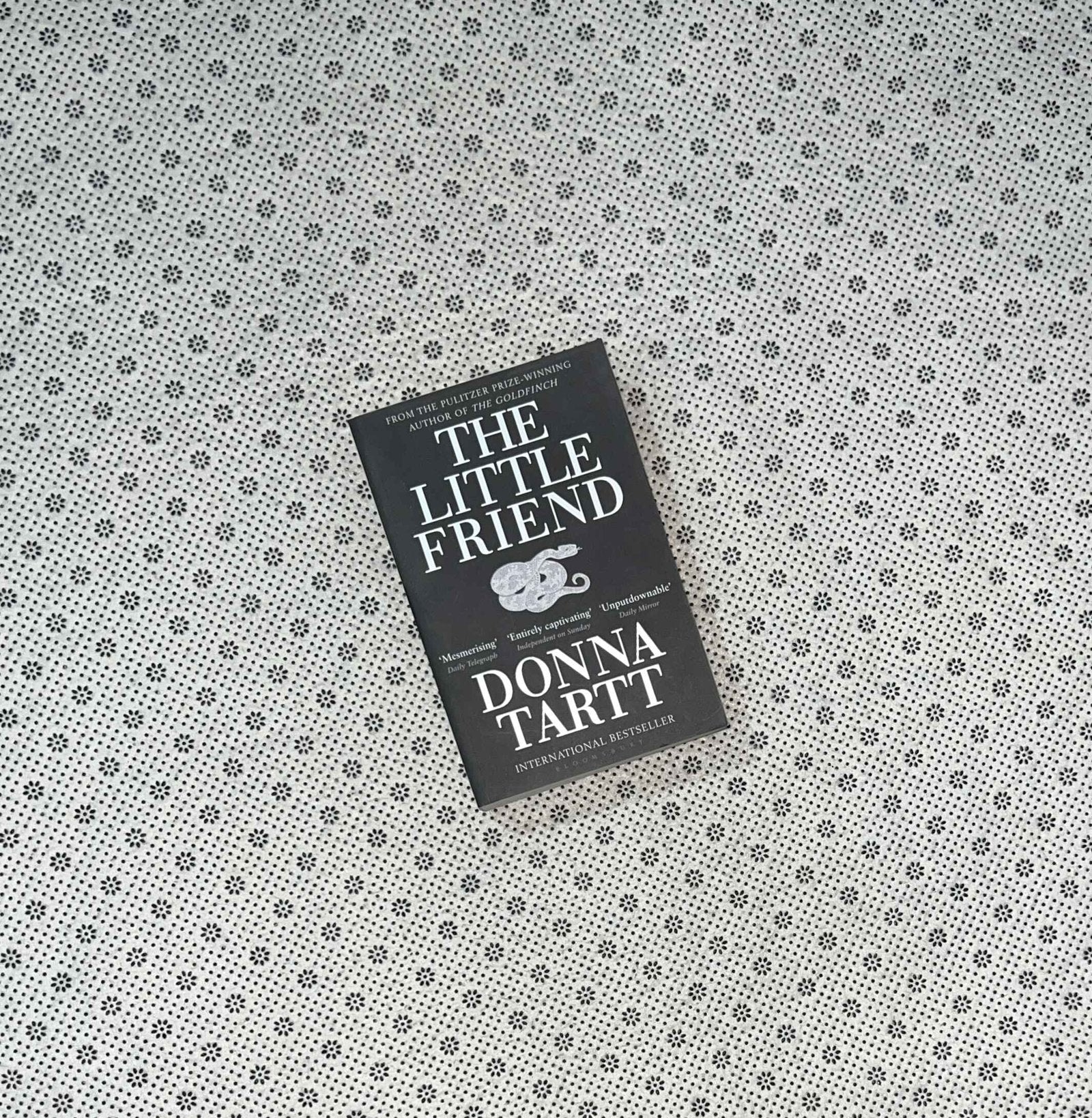 the little friend by donna tartt