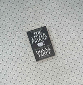 the little friend by donna tartt