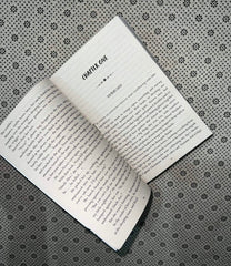 renegades renegades series book 1 by marissa meyer