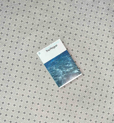 the plague by albert camus