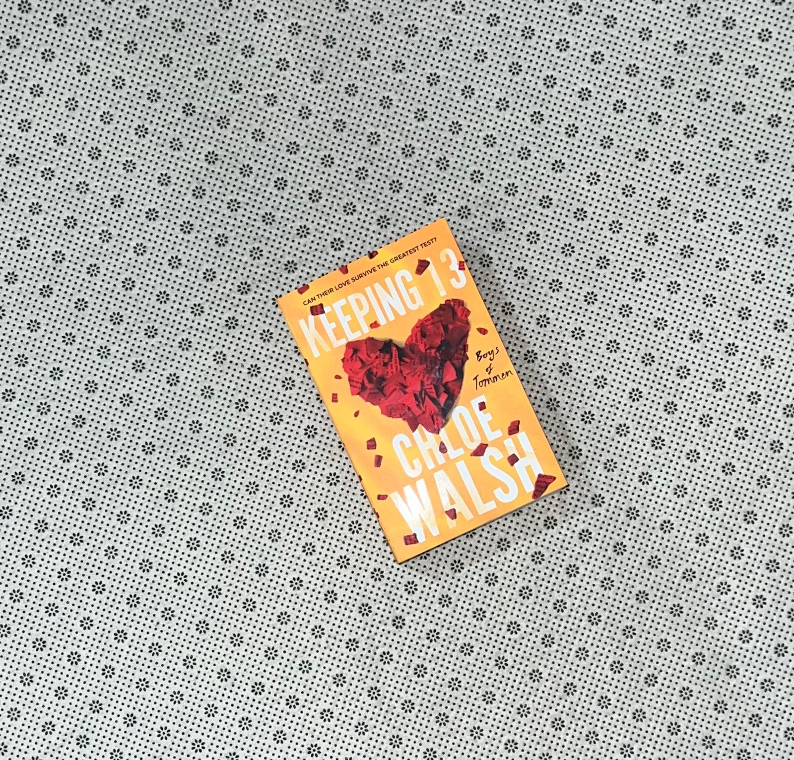 keeping 13 the boys of tommen series book 2 by chloe walsh