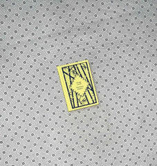 SHOOTING AN ELEPHANT by George Orwell