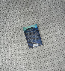 BEAUTIFUL UGLY: A Novel by Alice Feeney