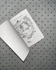 BEAUTIFUL UGLY: A Novel by Alice Feeney