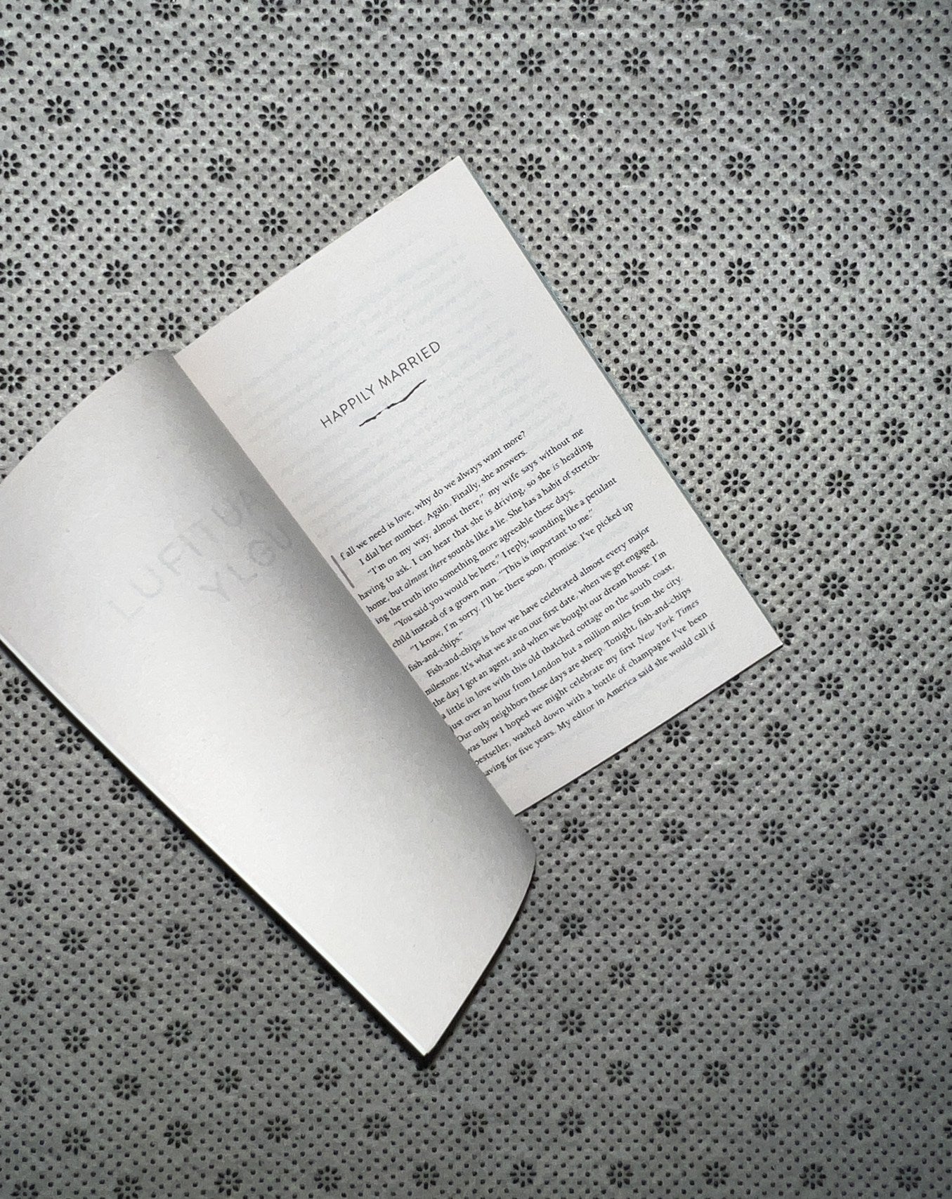 BEAUTIFUL UGLY: A Novel by Alice Feeney